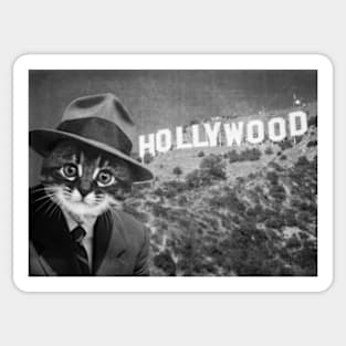 Gentleman Kitten in Hollywood Sticker